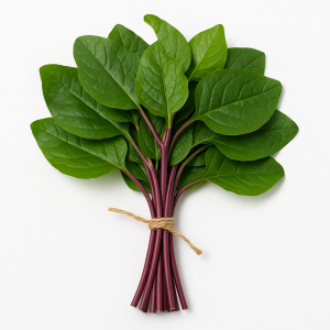 পুঁইশাক (Indian Spinach)