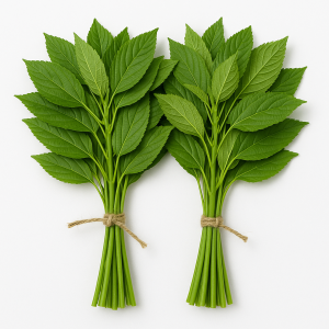 পাটশাক (Jute Leaves)