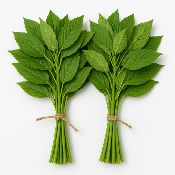 পাটশাক (Jute Leaves)