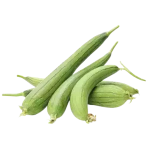 ধুন্দুল (Sponge Gourd)