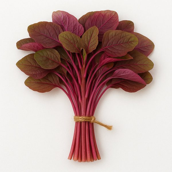 লাল শাক (Red Amaranth)